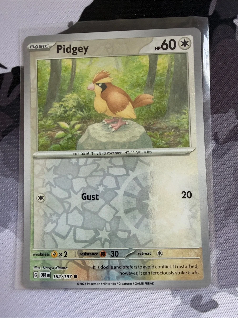 Pidgey, Pidgeotto & Pidgeot Evolution Lot | 5 Cards | Reverse Holo | ✨5/$25✨